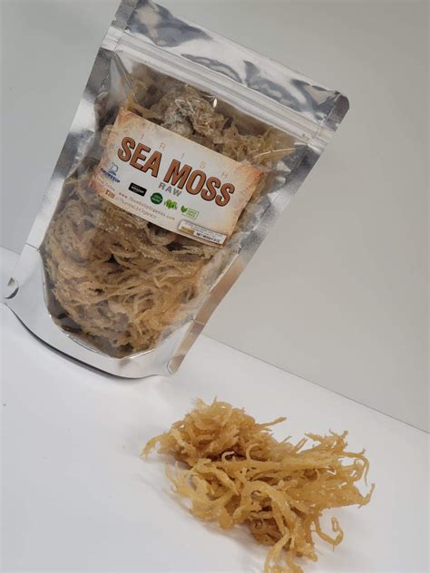 What is Sea Moss? To get started, we need to know what sea moss is. It’s a type of Red Algea that can be found around the shores of Caribbean islands, Europe and the east coast of the United States. The Irish and Jamaicans have been using it in medicines and cure-alls for generations.. 