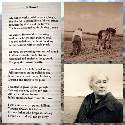 Seamus heaney poem mother - api.3m.com