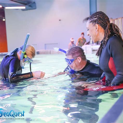 Seaquest folsom photos. SeaQuest Folsom, Folsom, California. 28,565 likes · 486 talking about this · 39,617 were here. The ultimate land and sea adventure with over 1,000 exotic animals. 