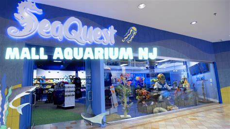Seaquest nj. May 6, 2019 · Calling all marine and wildlife enthusiasts: SeaQuest Woodbridge, a 24,000-square-foot, hands-on global sea life education and entertainment experience, is coming to Woodbridge Center this fall. … 