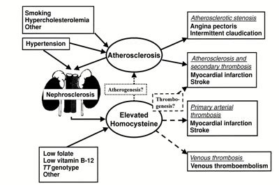 Search Page 1/4: elevated homocysteine - ICD10Data.com