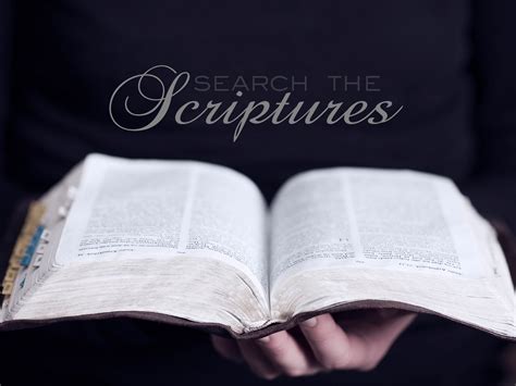 Search The Scriptures