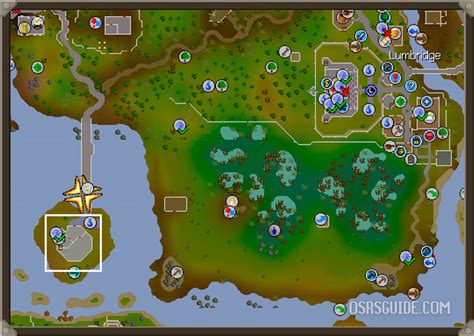 Search a bookcase in the wizards tower osrs.  Run from the level 13 skeleton.  P...