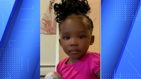 Search continues for missing Michigan toddler with $25K reward posted