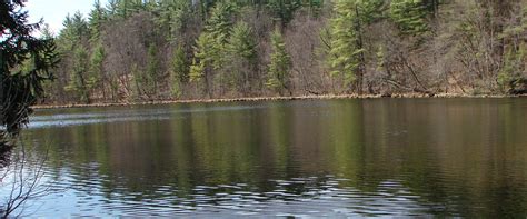 Search for aquatic wildlife at Delegan Pond