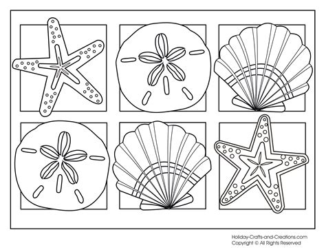 Seashell Coloring