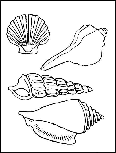 Saints Coloring Book