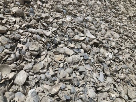 Seashells for Landscaping Delivery in North & South Carolina