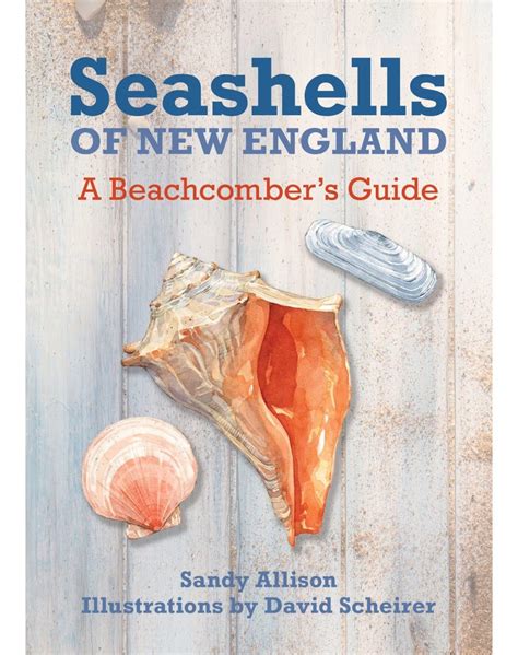 Seashells of new england a beachcombers guide. - Ite parking generation manual 3rd edition.