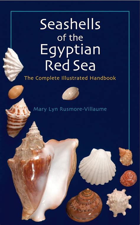 Seashells of the egyptian red sea the illustrated handbook. - Journey to freedom leader s guide a bible study on.
