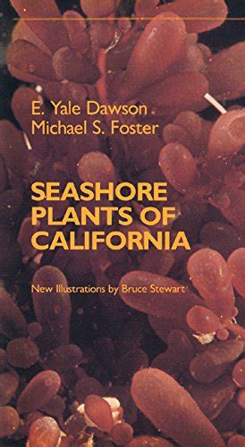 Seashore plants of california california natural history guides. - 2004 ktm 250 exc 450 sx mxc exc racing 525 sx mxc exc racing owners manual stain.
