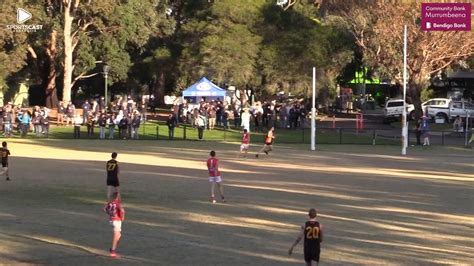 Season 2024 - Lyndhurst Football and Netball Club - GameDay