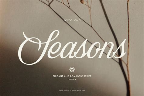 Seasons script Script Fonts Creative Market