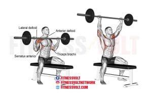 Seated Military Press – Muscles Worked, How-To, Benefits, and