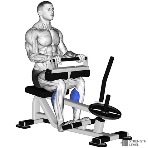 Seated calf raise. Things To Know About Seated calf raise. 