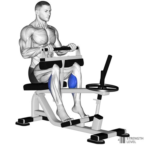 Seated calf raise. Things To Know About Seated calf raise. 