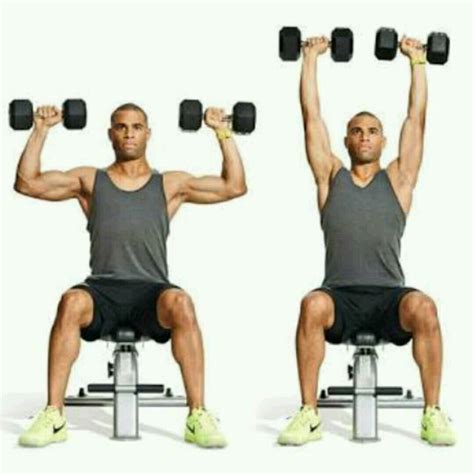 Seated dumbbell shoulder press. Things To Know About Seated dumbbell shoulder press. 