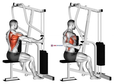Seated machine row. Seated Row. This exercise targets your lats, specifically the mid and lower back. Set up your anchor point at belly button height when you are seated with your legs extended and your back straight. With your arms extended forward, squeeze your shoulder blades together as you pull the band back as far as you can toward your stomach. 