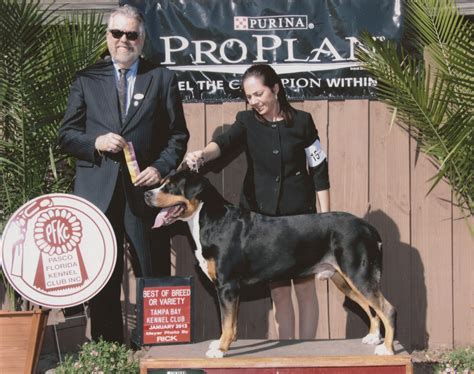 Seattle Kennel Club, Inc. - AKC Weekly Winners Gallery