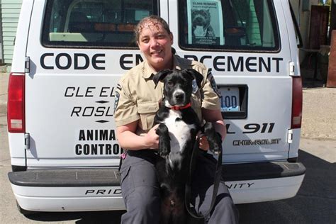 Seattle animal control. Things To Know About Seattle animal control. 