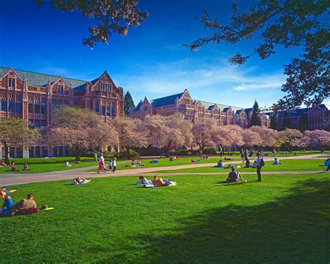 Seattle colleges. Things To Know About Seattle colleges. 
