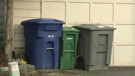 Seattle garbage collection. The two main causes of garbage pollution are a lack of a proper garbage collection system in the area and the presence of an improper disposal mechanism. In most cities, garbage is... 