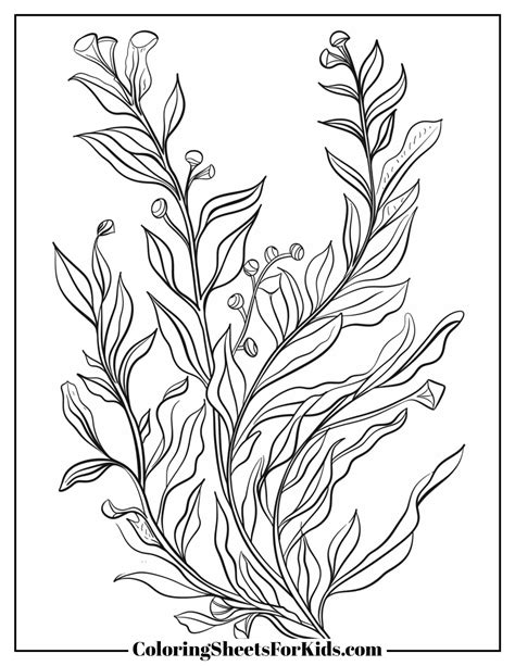 Seaweed Coloring