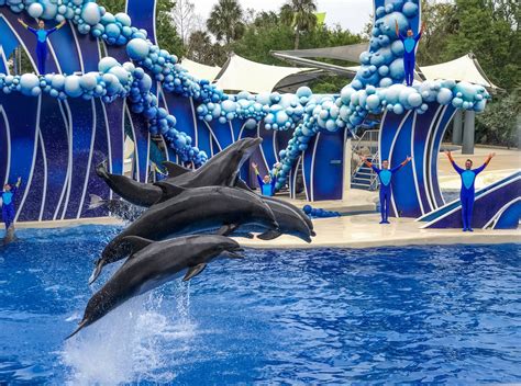 Seaworld orlando fotos. SeaWorld Orlando is ideal for families seeking a theme park that caters to all ages. It offers a variety of attractions, from kid-friendly rides and play areas to exciting roller coasters and … 