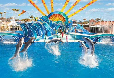 Seaworld san diego reviews. Book your tickets online for SeaWorld, San Diego: See 10,333 reviews, articles, and 7,053 photos of SeaWorld, ranked No.80 on Tripadvisor among 735 attractions in San Diego. 