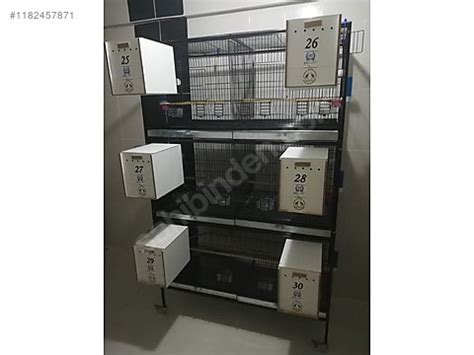 Seba Üretim Kafesi  1182457871. 