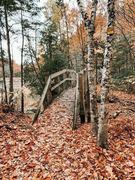 Sebebimsin Mutluluk Profiles Facebook.