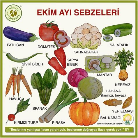 Sebzeler Pinterest. 