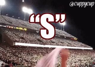 Sec gif. Things To Know About Sec gif. 