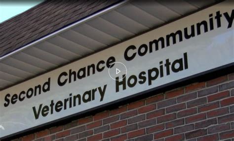 Find 384 listings related to 372 Main Second Chance Animal Hospital North Brookfield in Longmeadow on YP.com. See reviews, photos, directions, phone numbers and more for 372 Main Second Chance Animal Hospital North Brookfield locations in Longmeadow, MA.. 