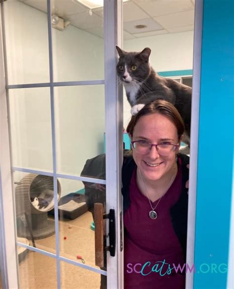 Second chance cats of west michigan. Second Chance Cats of West Michigan in Grand Rapids is hosting the event. Shelter staff say it's a great opportunity for kids to keep up on their reading skills. Plus, it helps educate children ... 