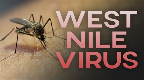 Second mosquito with West Nile Virus found, health leaders share prevention tips