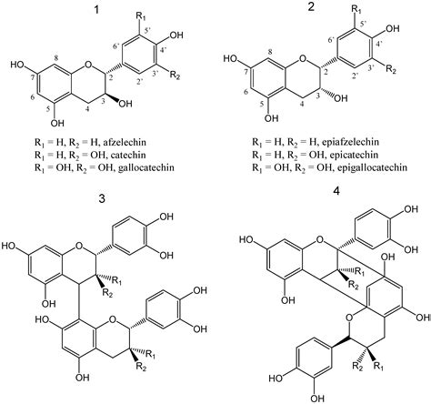 Secondary Metabolites in Durian Seeds: Oligomeric Proanthocyanidins