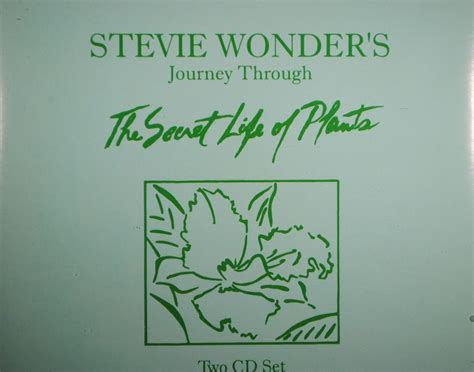 Secret Life Of Plants - Stevie Wonder - musicMagpie Store