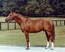 Secretariat – Wikipedia