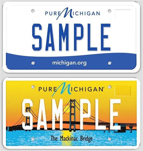 Michigan drivers can now renew their car registration e