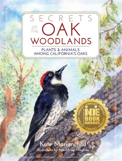 Full Download Secrets Of The Oak Woodlands Plants And Animals Among Californias Oaks By Kate Marianchild
