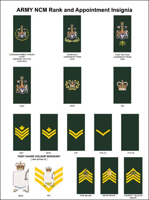 Section 2 Rank insignia and appointment badges