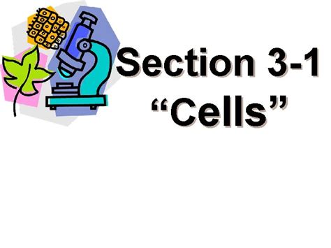 Section 3 1 cell theory study guide. - Diccionario enciclopedico mentor de ciencias sociales.