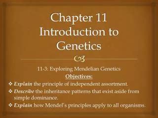 Section 3 To Review Introduction Genetics 11 Chapter