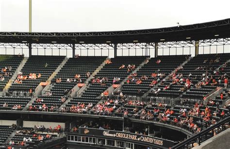 20-54. 56-58. Most field box sections will have between 24 and 29 rows of seats and row 1 will always be the first row in these sections. Sections 22 through 26 sit directly behind the Baltimore Orioles dugout while sections 48 through 52 sit directly behind the visiting team's dugout.