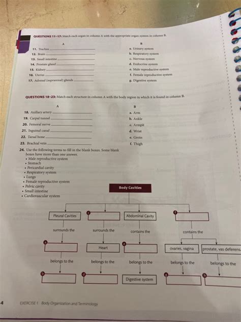 Section Directed Body Answer Organization Key