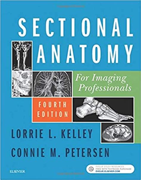 Full Download Sectional Anatomy For Imaging Professionals By Lorrie L Kelley