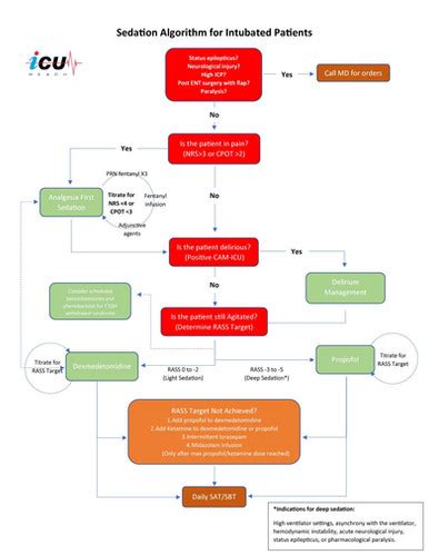 Sedation Algorithm for Intubated Patients ICU REACH
