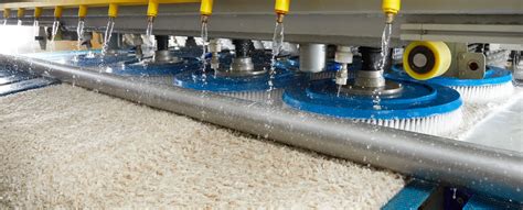 Sedef Hali Yikama Servisi