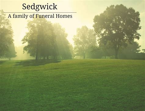 Sedgwick funeral home canton il. .  <a href=https://app.diagnosticooral3d.com...